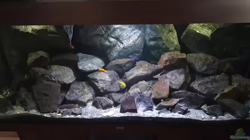 Aquarium Fernsehersatz von Adriano Scholtes (2)