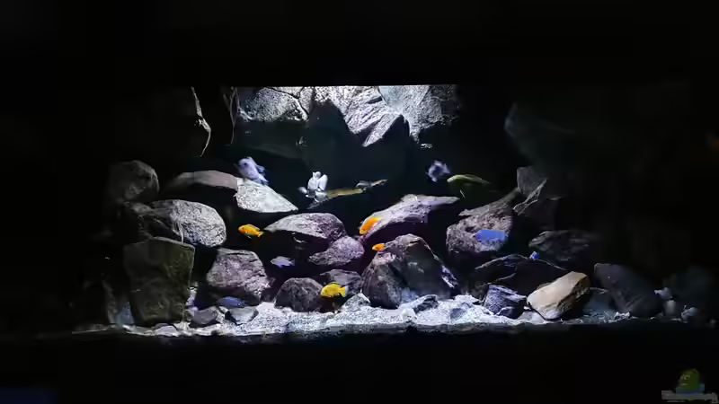 Aquarium Fernsehersatz von Adriano Scholtes (3)