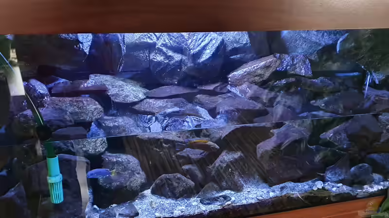 Aquarium Fernsehersatz von Adriano Scholtes (7)