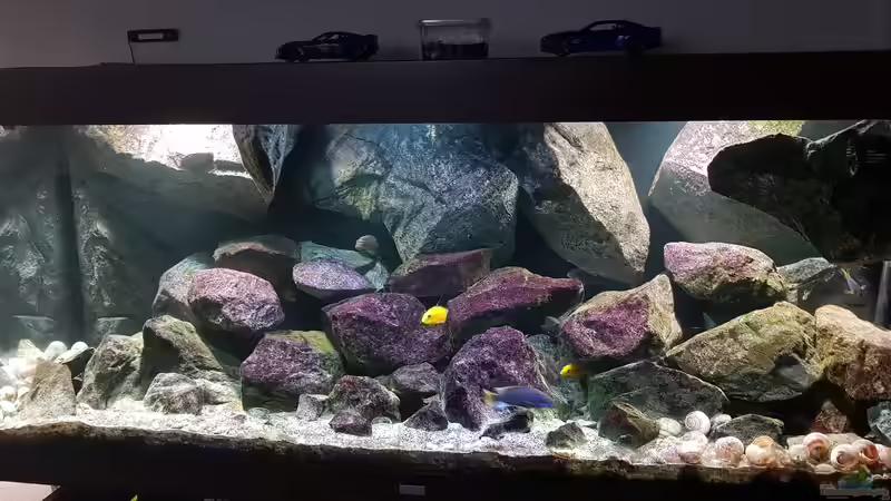 Aquarium Fernsehersatz von Adriano Scholtes (8)