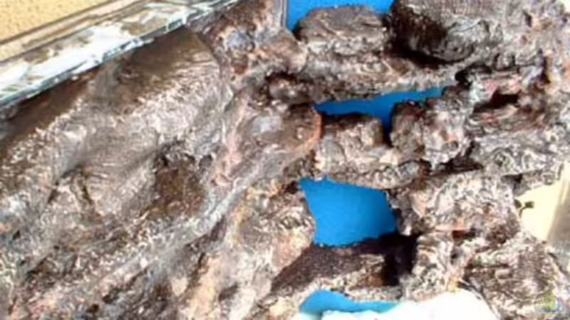 Aquarium fertig zum fluten von Patrick Rall (9)