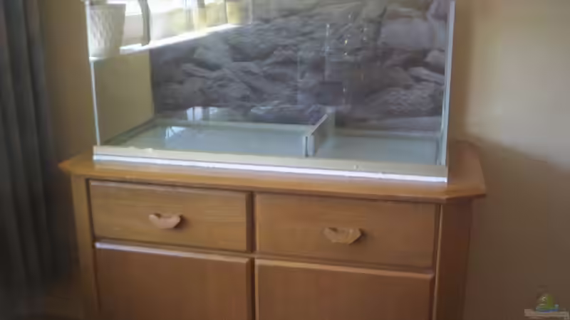 Aquarium Feuerwasser / Nur noch Beispiel / von Didi (2)