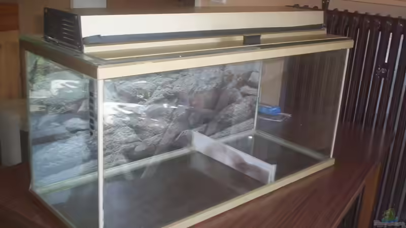 Aquarium Feuerwasser / Nur noch Beispiel / von Didi (3)