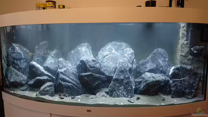 Aquarium First Malawi von Stefan von Oettingen (10)