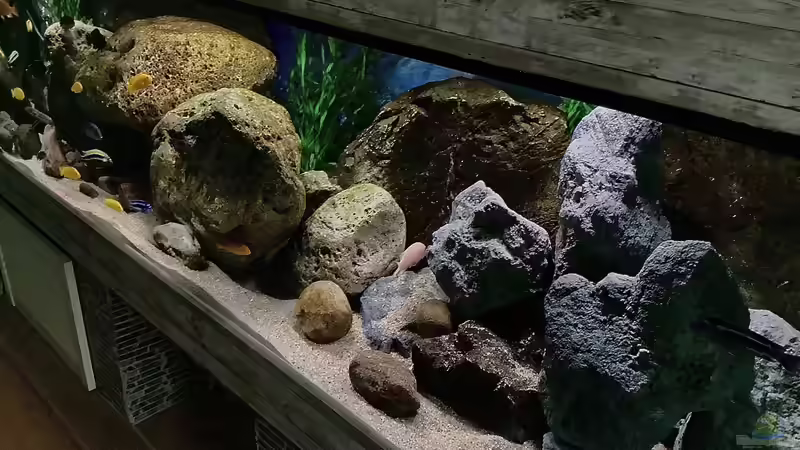 Aquarium Fishbowl von Mundo (4)