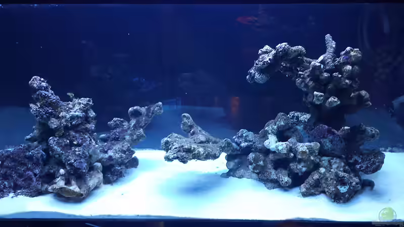 Aquarium Flev´s 1,1K MeWa Tank von Flevus (3)