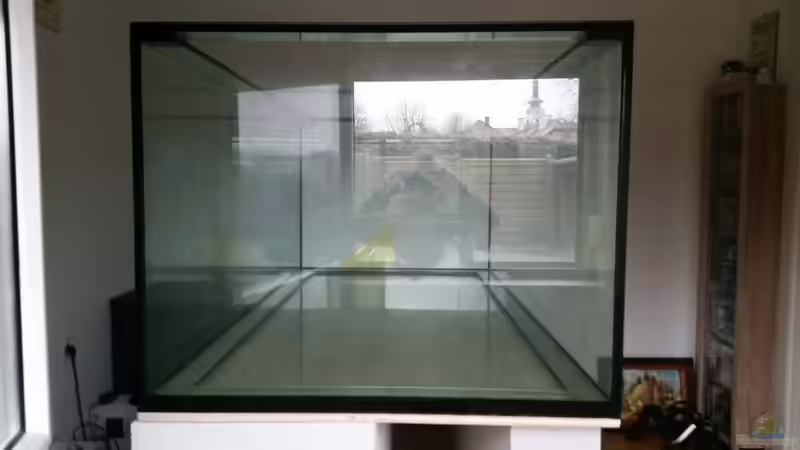 Aquarium Fluss-Monster (Nur noch als Beispiel) von Bernd N. (3)