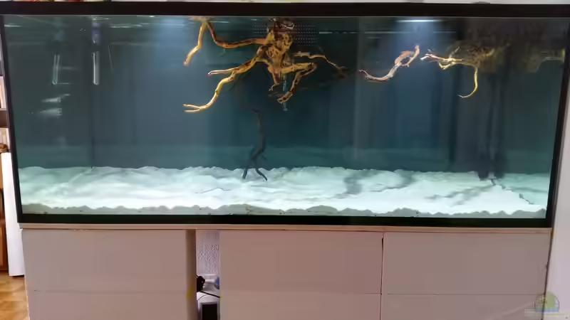 Aquarium Fluss-Monster (Nur noch als Beispiel) von Bernd N. (4)