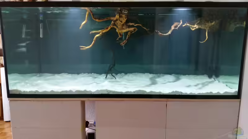 Aquarium Fluss-Monster (Nur noch als Beispiel) von Bernd N. (5)