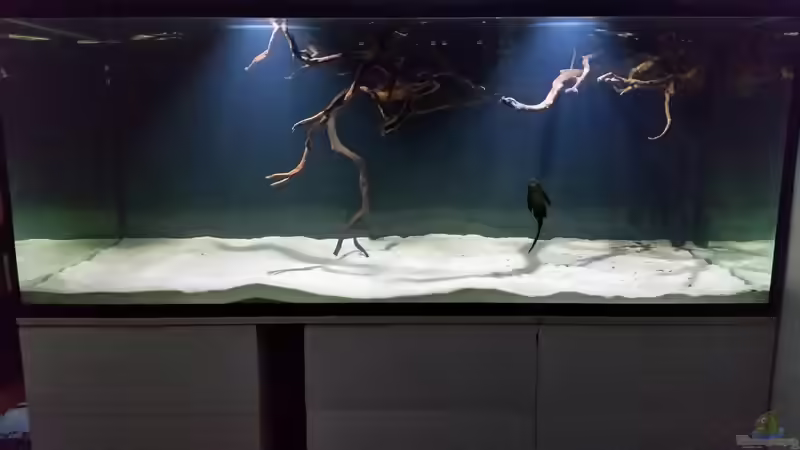 Aquarium Fluss-Monster (Nur noch als Beispiel) von Bernd N. (6)