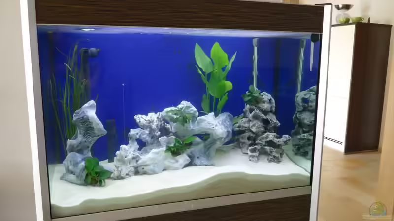 Aquarium Fluval profile 1000 Bambusoptik von Steff22 (2)