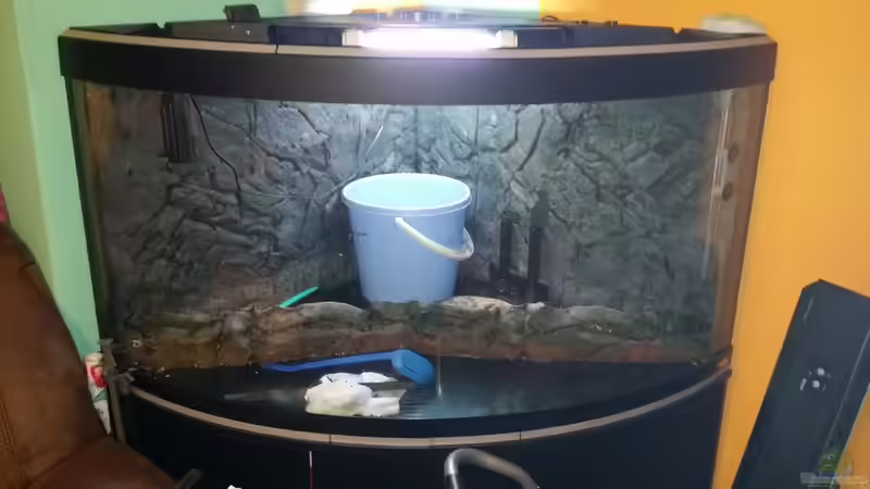 Aquarium Fluval Venezia 350 Eckaquarium von Steffen und Felix (2)