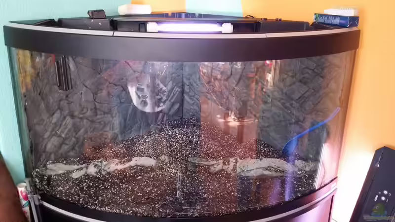 Aquarium Fluval Venezia 350 Eckaquarium von Steffen und Felix (3)