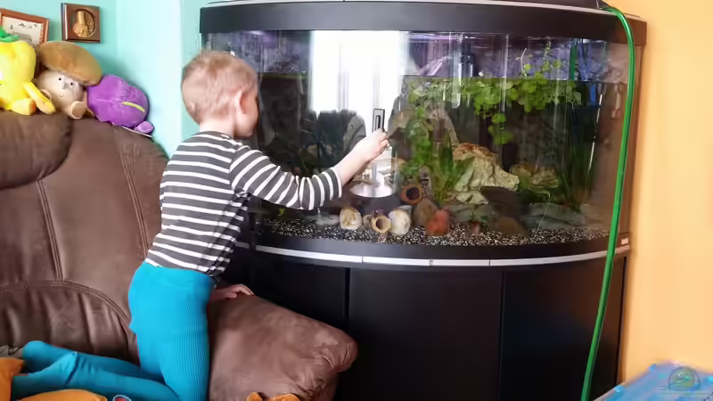 Aquarium Fluval Venezia 350 Eckaquarium von Steffen und Felix (39)