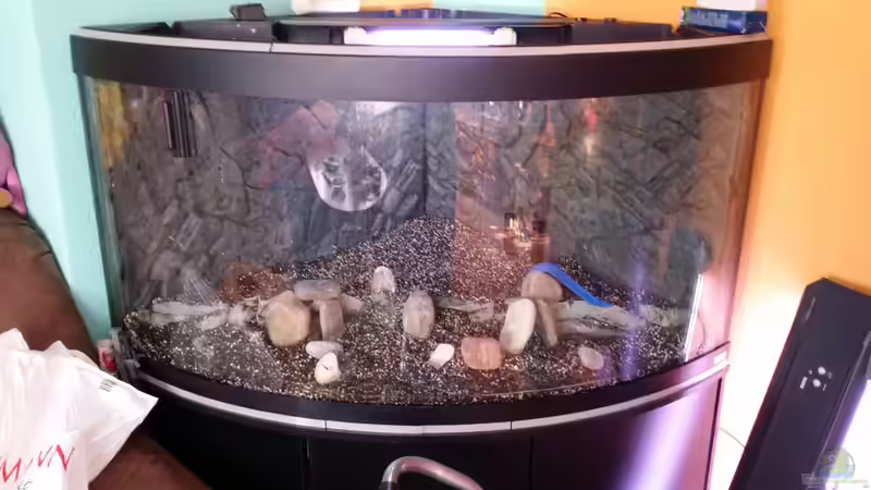 Aquarium Fluval Venezia 350 Eckaquarium von Steffen und Felix (4)