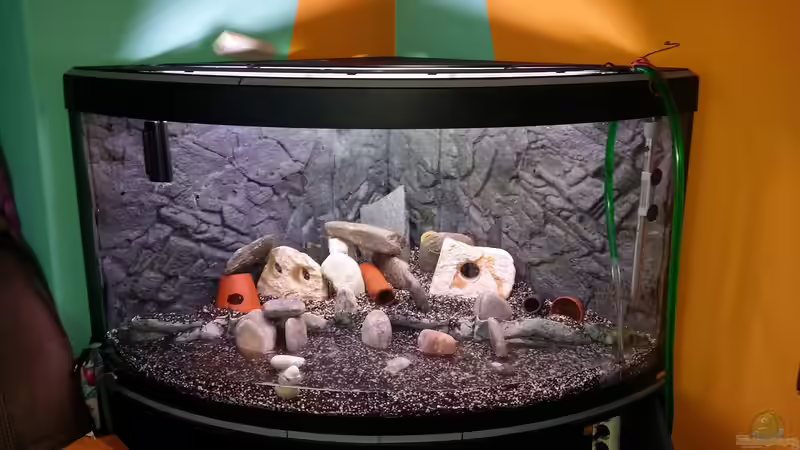 Aquarium Fluval Venezia 350 Eckaquarium von Steffen und Felix (5)