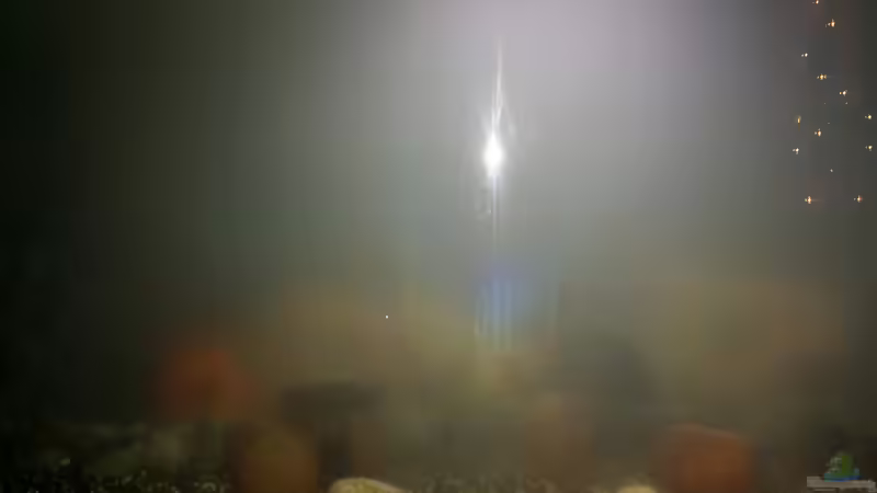 Aquarium Fluval Venezia 350 Eckaquarium von Steffen und Felix (6)