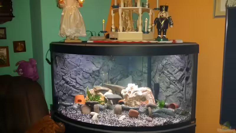 Aquarium Fluval Venezia 350 Eckaquarium von Steffen und Felix (8)