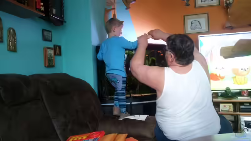 Aquarium Fluval Venezia 350 Eckaquarium von Steffen und Felix (95)