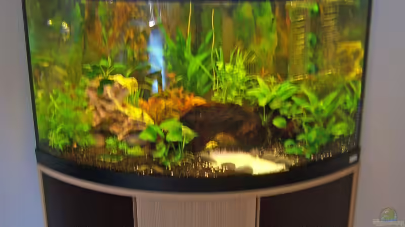 Aquarium Fluval Venezia von basshammer (2)