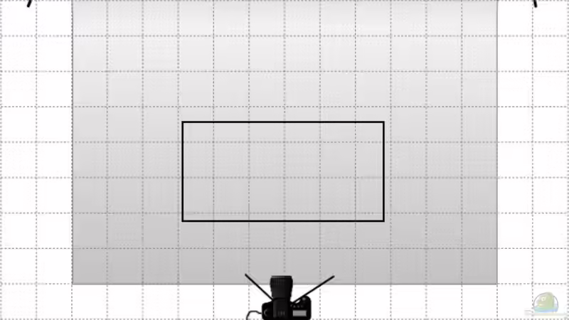 Aquarium-Fotografie von RaykoM