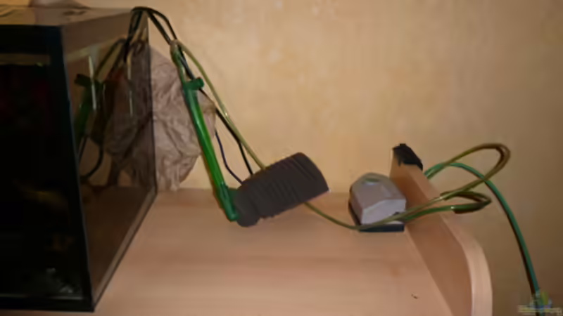 Aquarium Fotokasten von Cichlid Power (3)