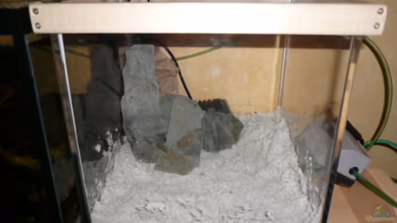 Aquarium Fotokasten von Cichlid Power (6)