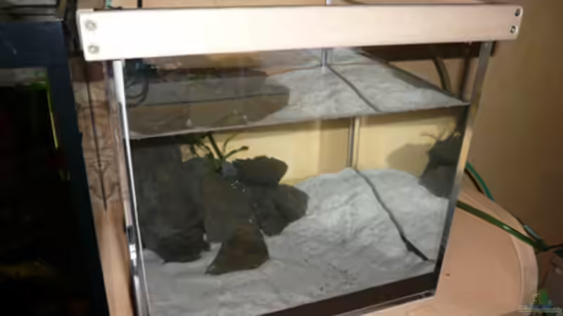 Aquarium Fotokasten von Cichlid Power (8)