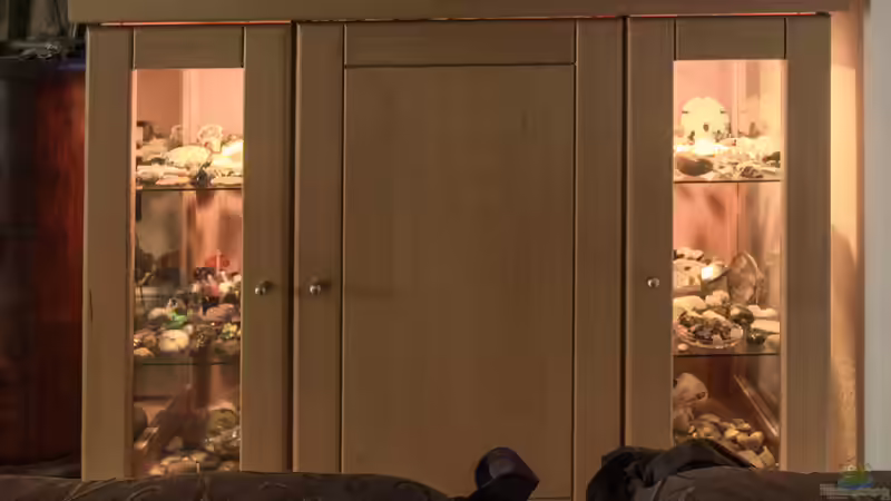 Aquarium Franks Tanganjika Becken von Baghira (4)