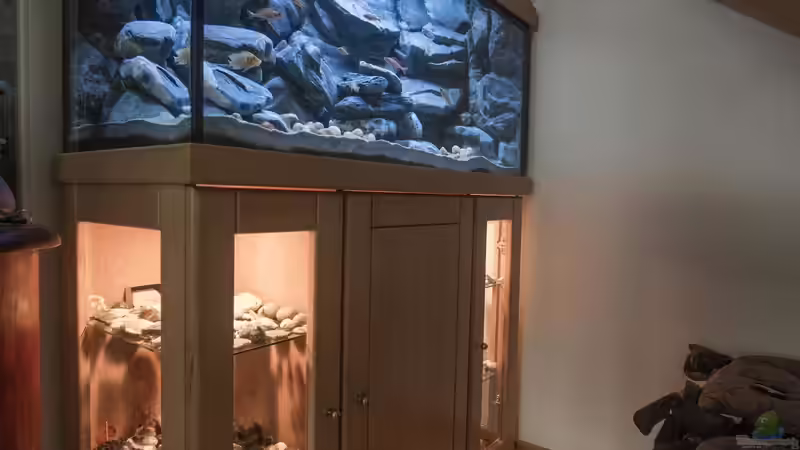 Aquarium Franks Tanganjika Becken von Baghira (7)