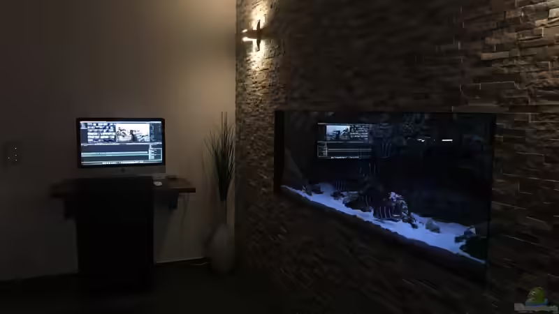 Aquarium Frontosa von Christian V (4)