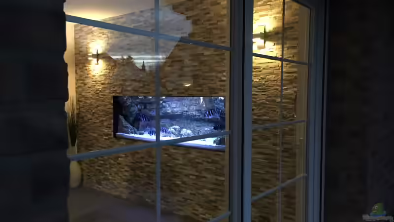 Aquarium Frontosa von Christian V (5)