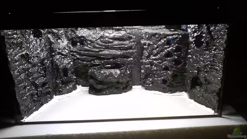 Aquarium Froschgrotte von LaEy (2)