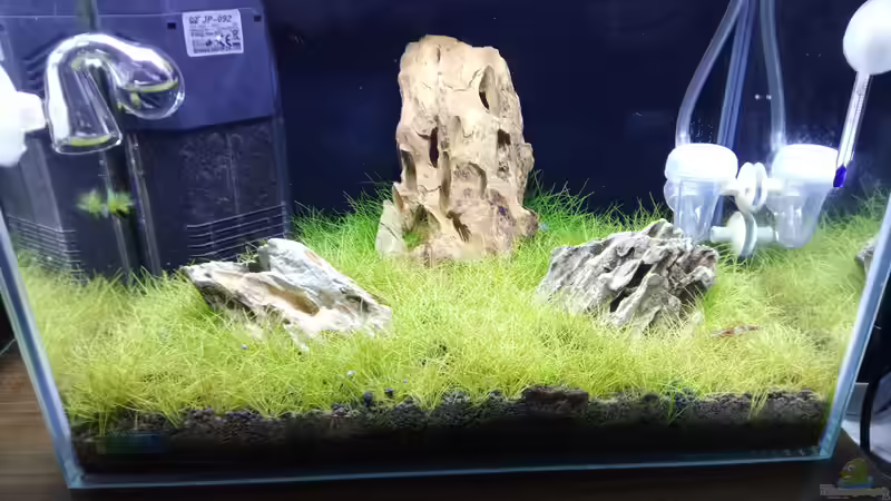 Aquarium Garnelen - Iwagumi von Torsten Bullmahn (2)