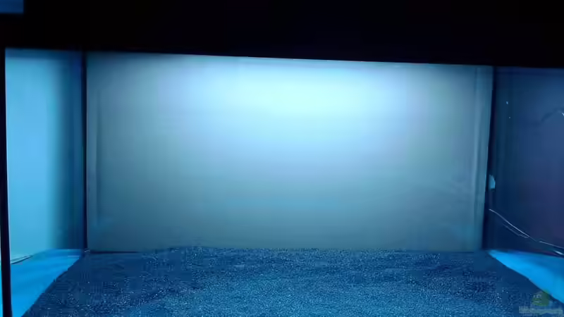 Aquarium Garneleninsel von Die Juli (2)