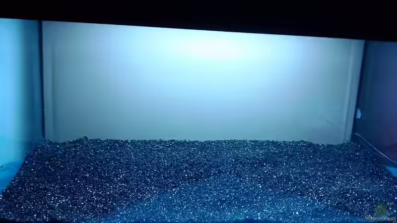 Aquarium Garneleninsel von Die Juli (3)