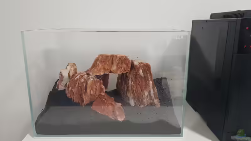 Aquarium Garnelenpfütze von Pangolyn (2)