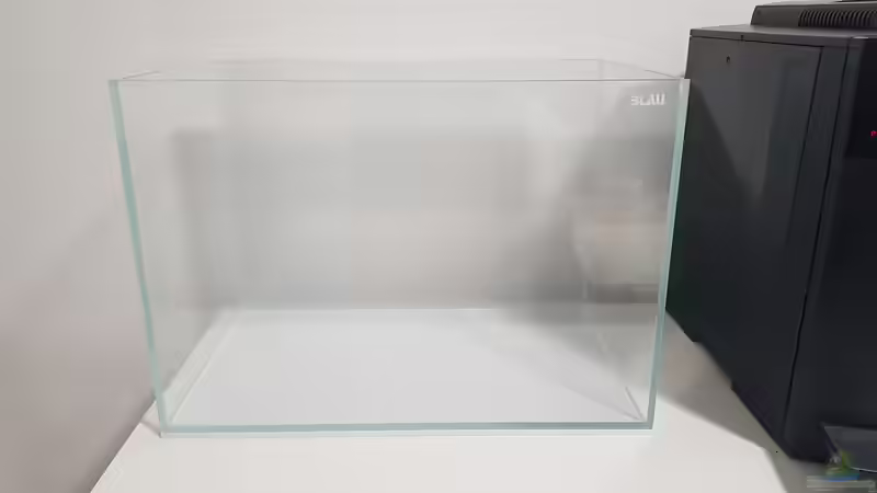 Aquarium Garnelenpfütze von Pangolyn (3)