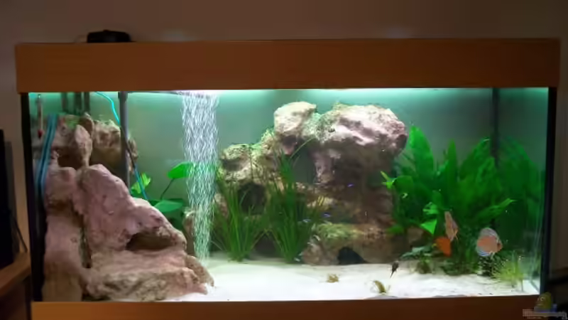 Aquarium Gauchel Becken von Christoph Lange (3)