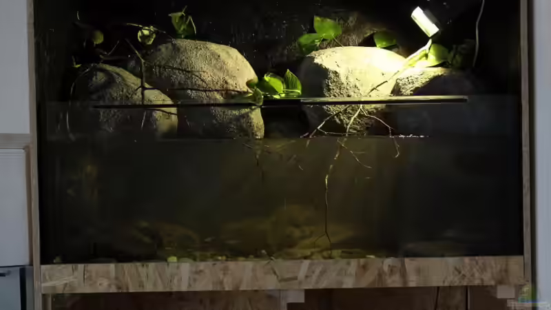 Aquarium Gebirgsbach Paludarium von Zigermandli (2)