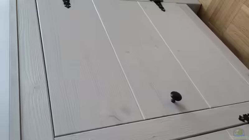 Aquarium Geophagus Proximus von Captain Gü (11)