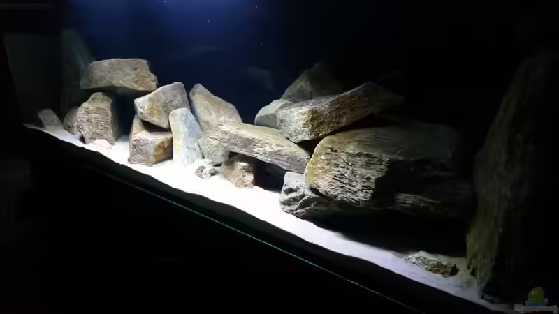 Aquarium Geröllzone Malawi See von MalawiMartin (2)