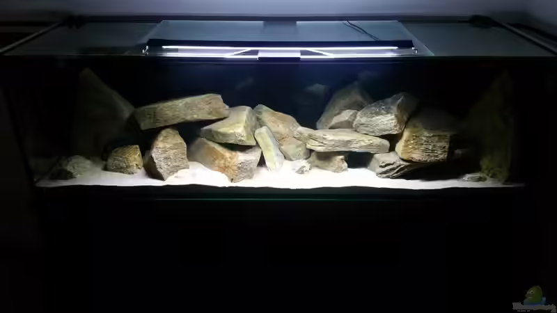 Aquarium Geröllzone Malawi See von MalawiMartin (4)