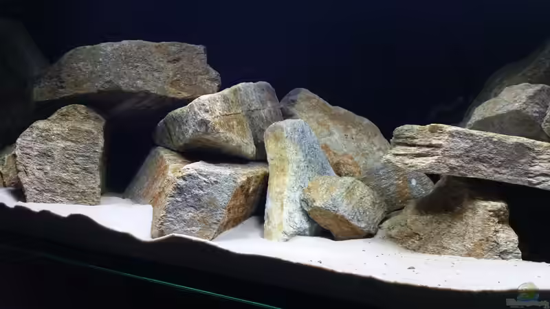 Aquarium Geröllzone Malawi See von MalawiMartin (7)