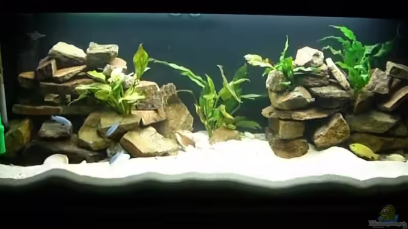 Aquarium Gesamtansicht