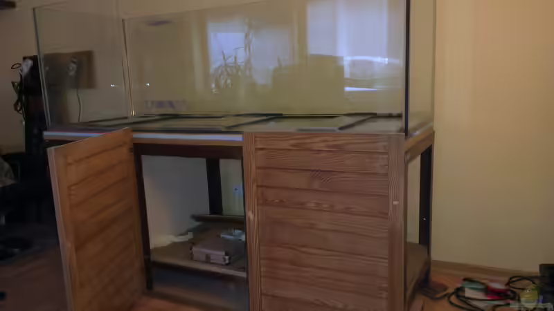 Aquarium Gesellschafftsbecken Südamerika(nur noch als Bsp.) von Biffty (17)