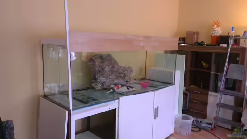 Aquarium Gesellschafftsbecken Südamerika(nur noch als Bsp.) von Biffty (23)