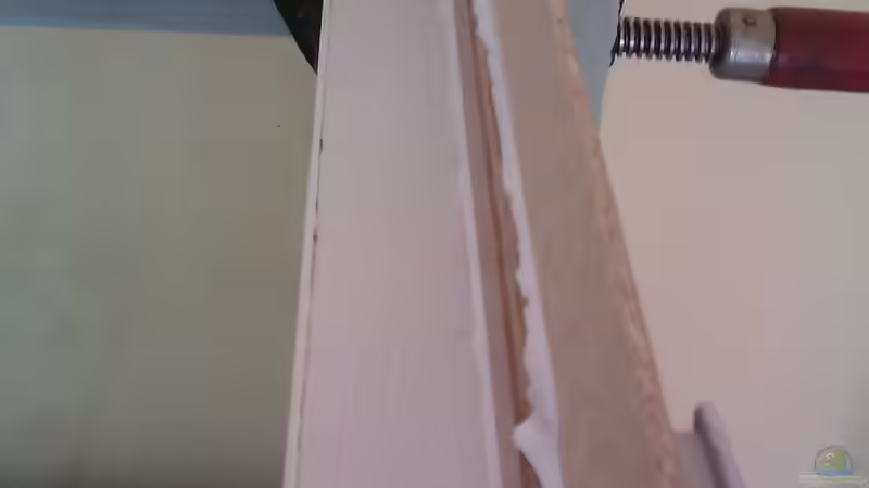 Aquarium Gesellschafftsbecken Südamerika(nur noch als Bsp.) von Biffty (25)