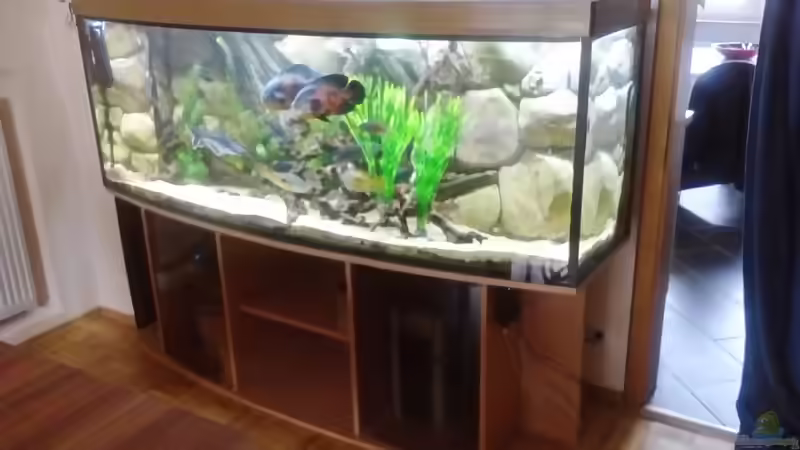 Aquarium Gesellschaftsbecken Süd-Mittelamerika von Christian Fries (2)