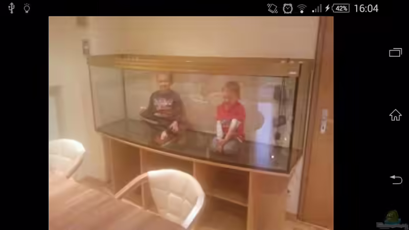 Aquarium Gesellschaftsbecken Süd-Mittelamerika von Christian Fries (3)